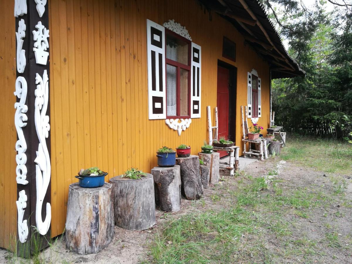 Bora Zdrój - pokój czteroosobowy 1 Narewka Exterior foto